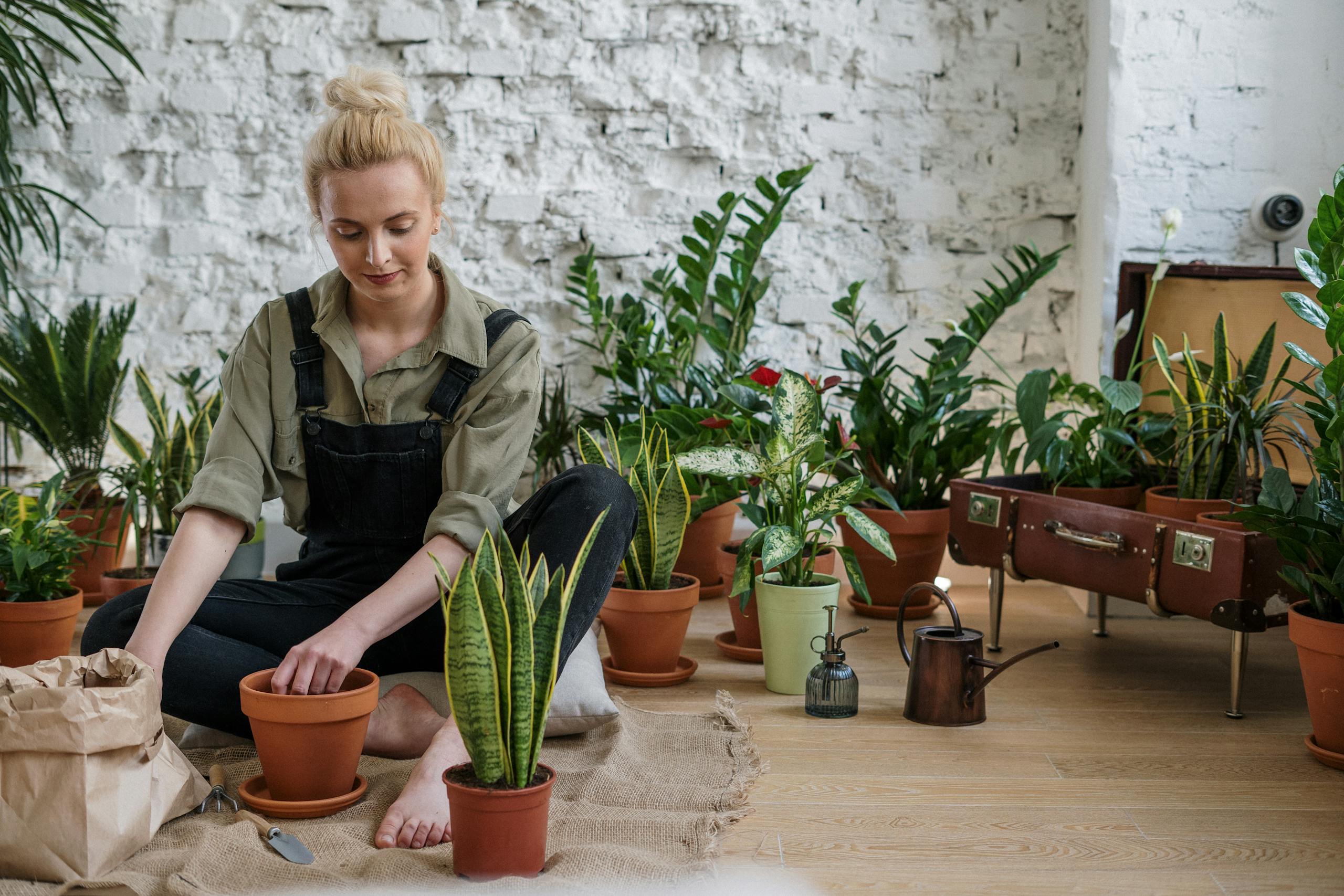 A woman arranges potted houseplants, creating an inviting indoor garden scene.